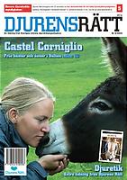 Castel Corniglio: Fria hästar och åsnor i Italien