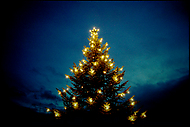julgran i Alingsås mot mörkblå himmel