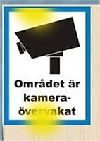 Övervakning i konsten