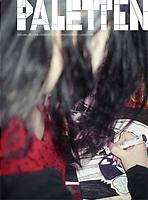 Omslag Paletten nr 1/07: någon som ritar, man ser mest håret, tuschpennan och lite av teckningen