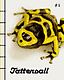 Tattersall #1, omslag