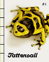Tattersall #1, omslag
